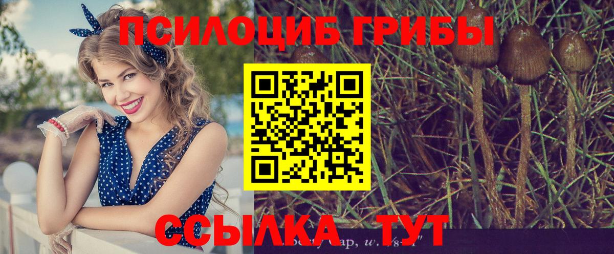 Псилоцибиновые грибы MAGIC MUSHROOMS  Вход с VPN  Лосино-Петровский  Псилоцибиновые грибы MAGIC MUSHROOMS 